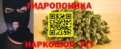 гашик Краснодар
