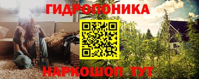 гашик Краснодар