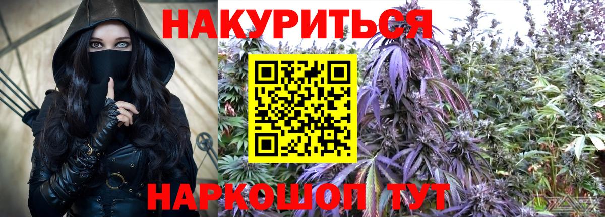 Бошки марихуана сатива Кимры